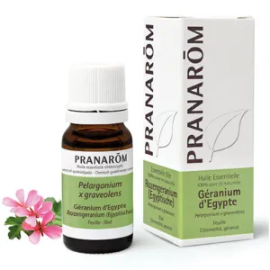Pranarom huile essentielle de Géranium d'Egypte