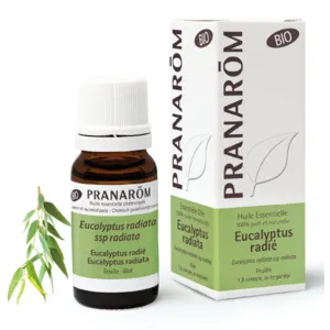 Pranarom Bio huile essentielle d'Eucalyptus radié