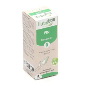 Herbalgem Pin concentré de bourgeons frais