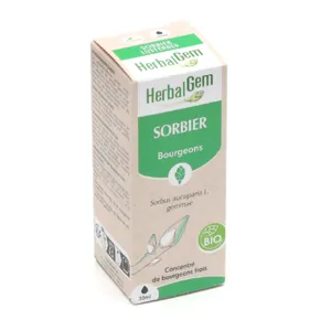 Extrait Herbalgem de bourgeons de Sorbier bio