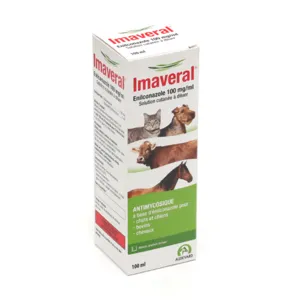 Imaveral solution à diluer vétérinaire contre la teigne