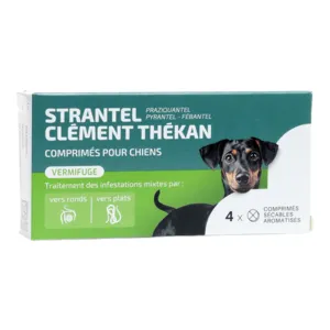 Clément Thékan Strantel vermifuge chien comprimés
