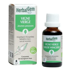 Herbalgem Extrait de bourgeons Vigne vierge Bio