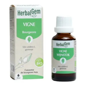Herbalgem macérat bourgeons vigne bio