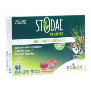 Stodal Plantes Nez et gorge et bronches pastilles fruits rouges