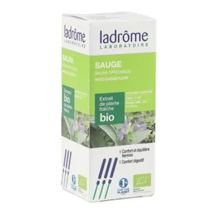Ladrome sauge extrait de plante fraîche Bio