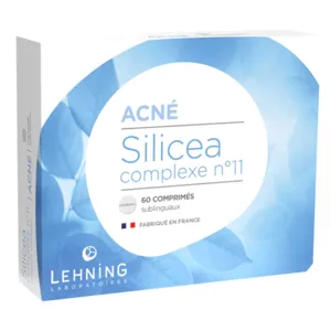 Complexe Lehning Silicea