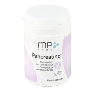 Pancréatine gélules Chien et Chat fonction digestive