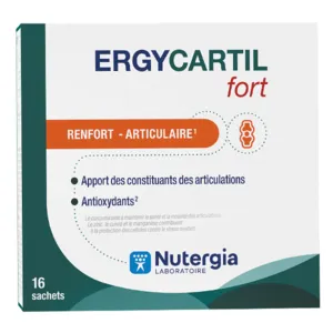 Ergycartil Fort Nutergia Articulations Sachets