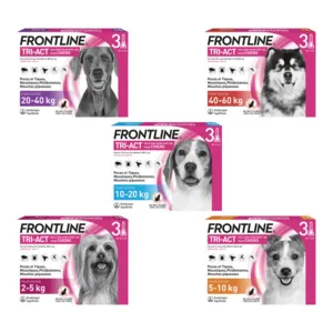 Frontline TRI-ACT spot on chiens pipettes anti puce