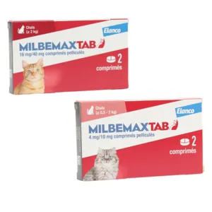 Vermifuge Milbemax chat Vers ronds et plats