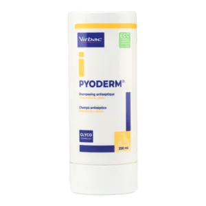 Shampooing antiseptique chien chat Pyoderm