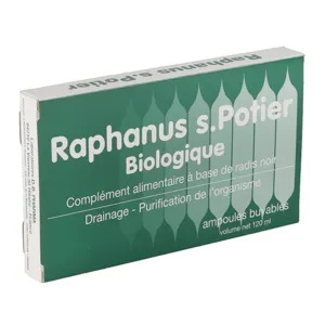 Raphanus S Potier radis noir biologique