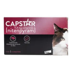 Capstar comprimé anti-puces Chat