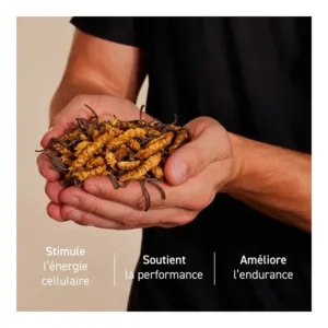 French Mush Cordyceps Bio gelules