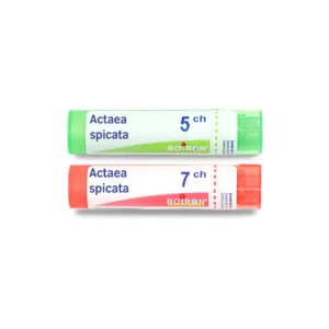Actaea spicata 5CH granules homeopathiques