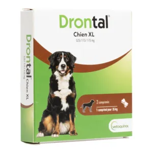Drontal XL chien