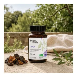 French Mush Chaga Bio gélules